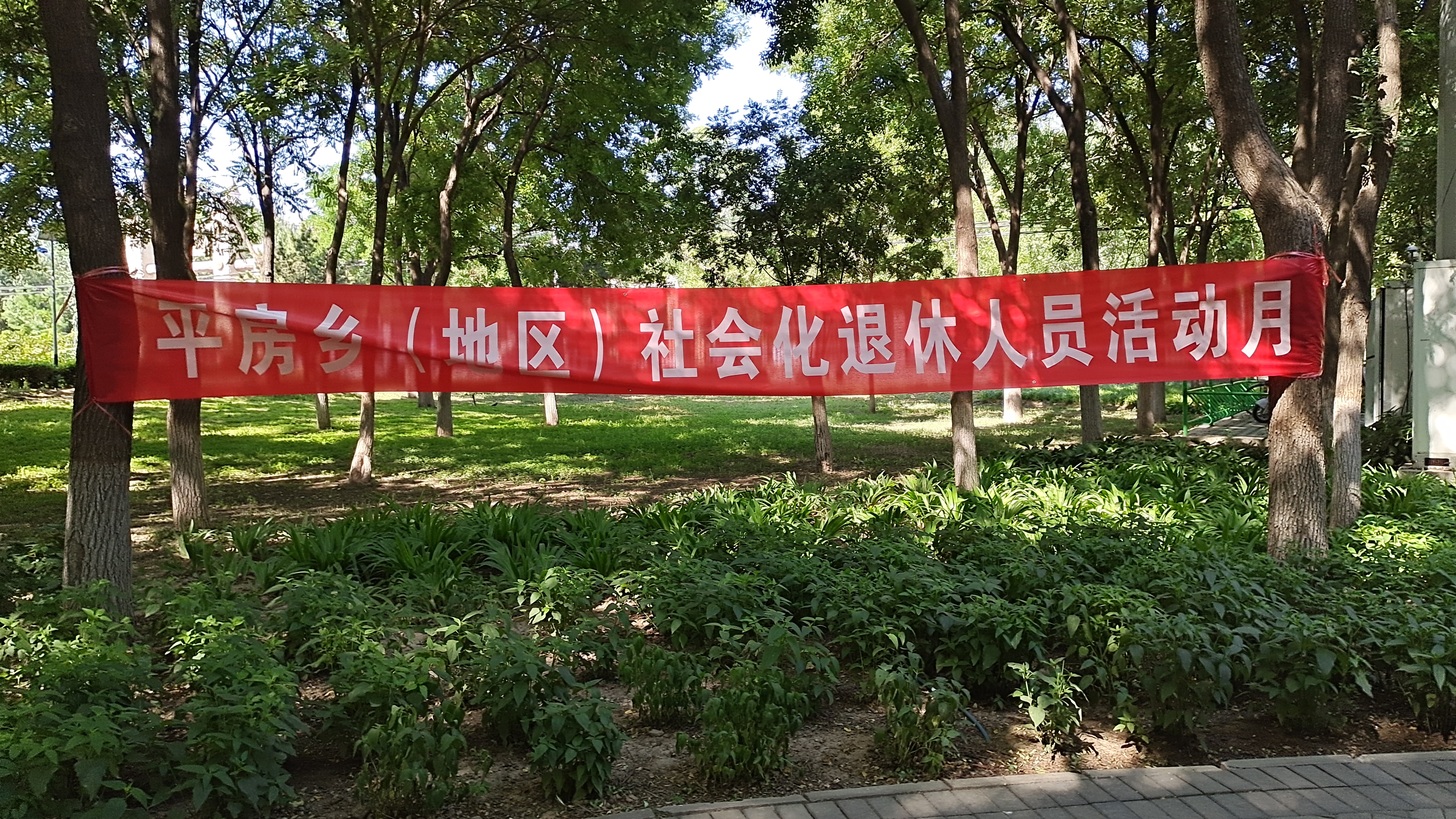 平房街道(图1)