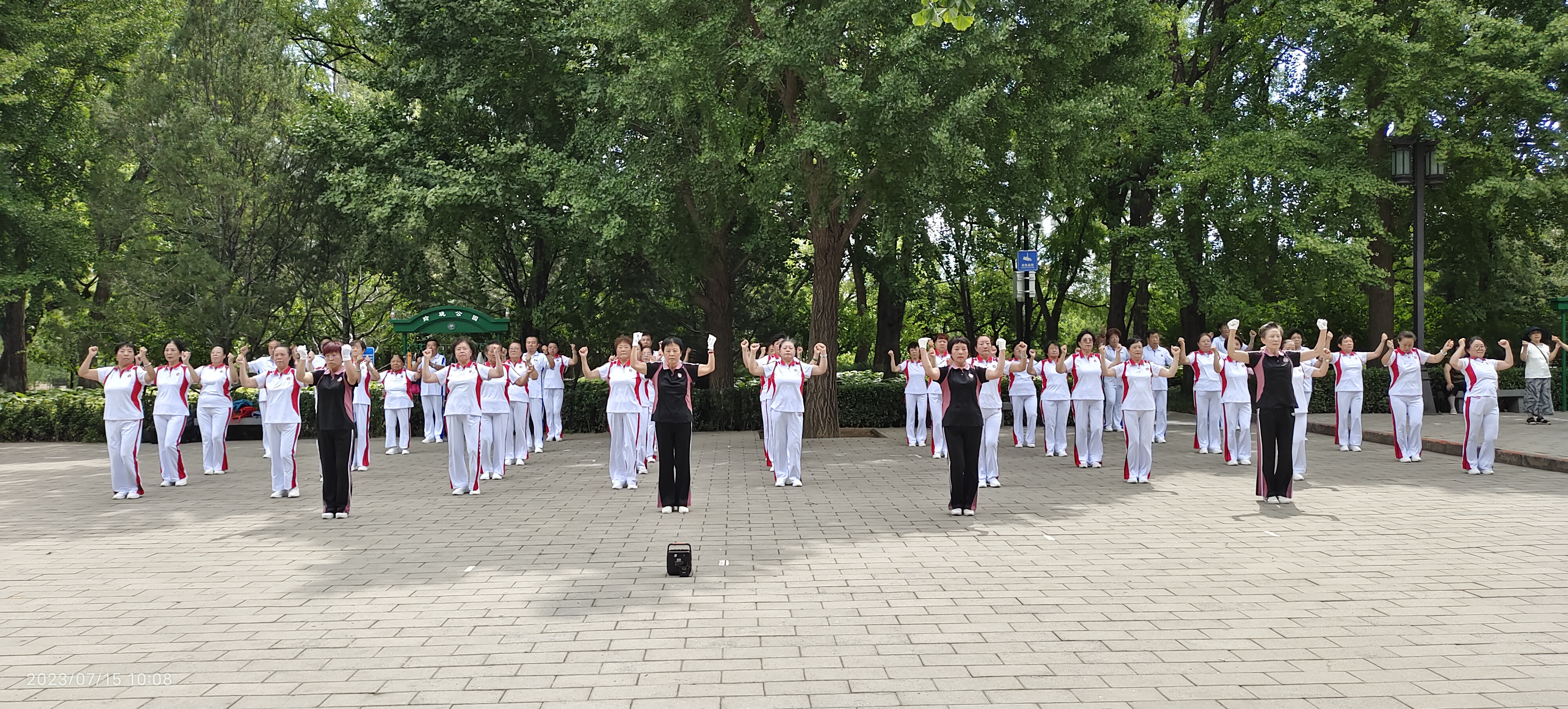 八里庄(图1)